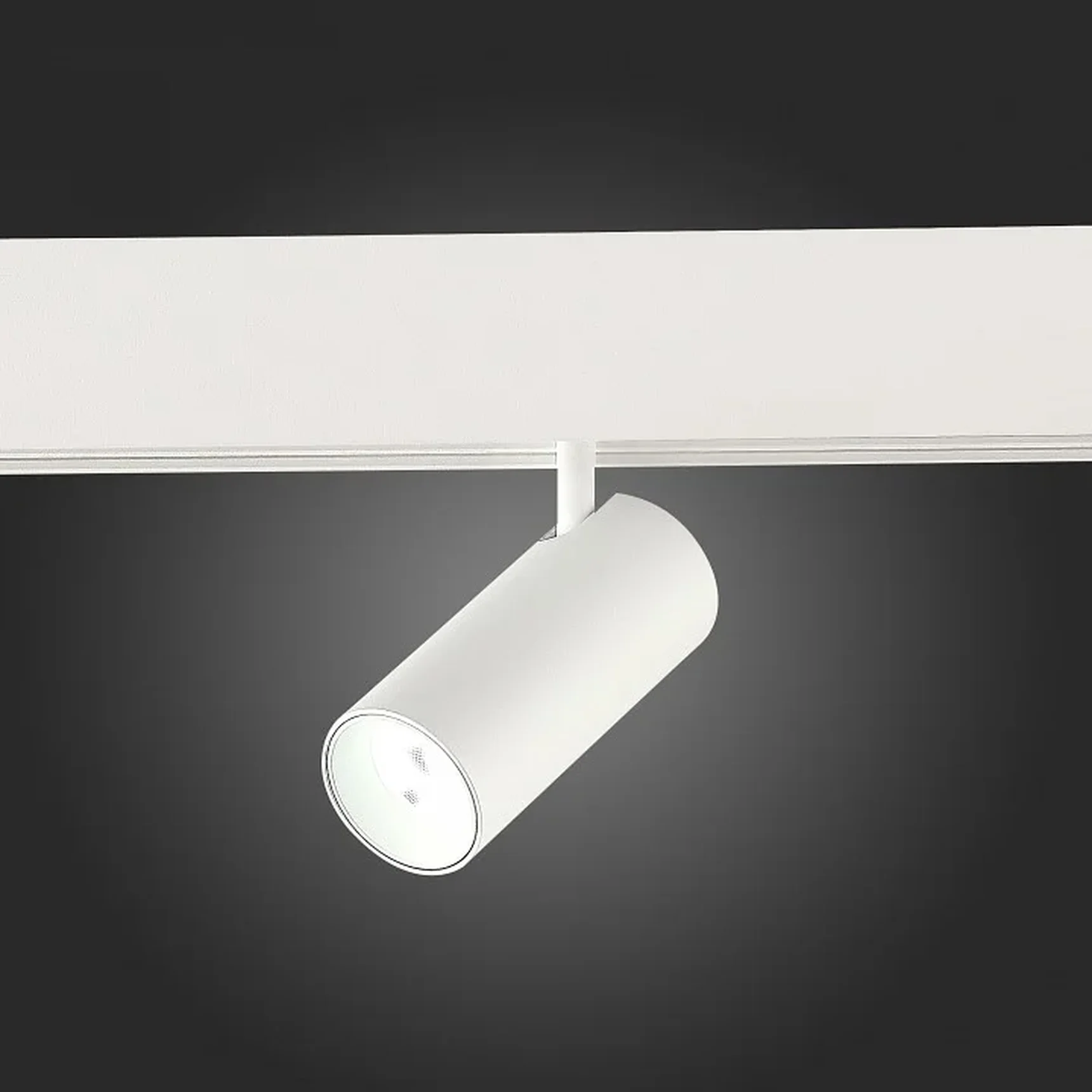 Магнитный трековый светильник SMART Белый LED 1*7W 2700K-6500K 630Lm Ra90 36° IP20 L100xW45xH85 48V