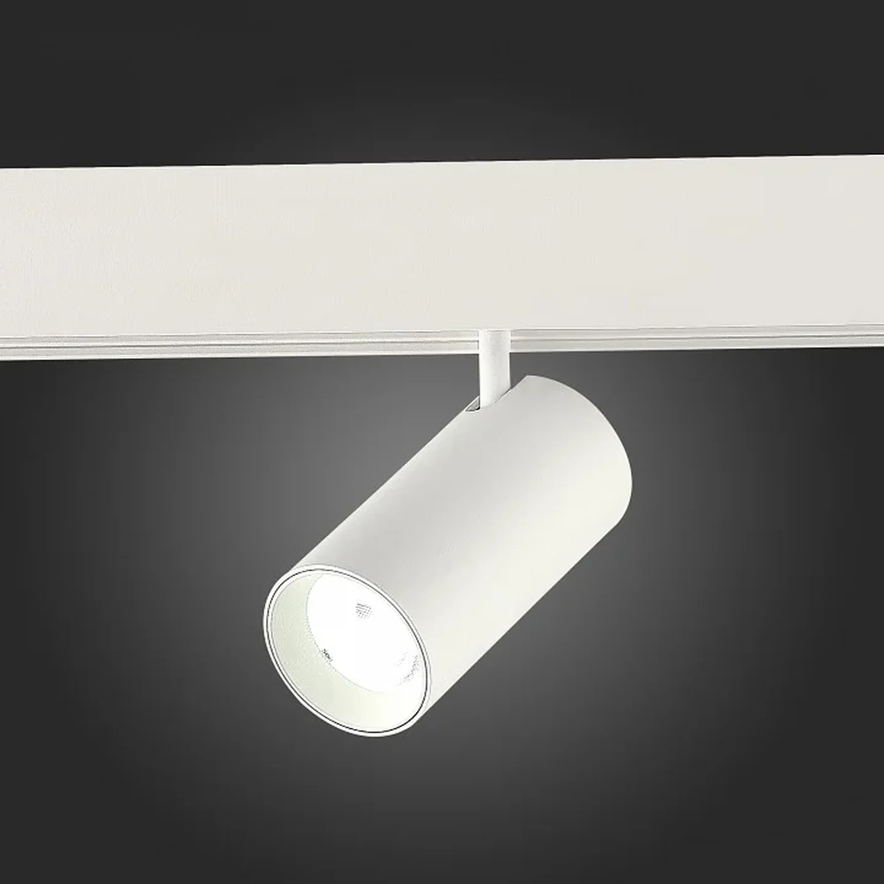 Магнитный трековый светильник SMART Белый LED 1*12W 2700K-6500K 1 080Lm Ra90 36° IP20 L115xW55xH95