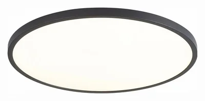 Светильник потолочный Черный LED 1*32W 4000K 2 880Lm Ra>90 120° IP20 D400xH25 220V