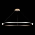 Подвесной светильник ST-Luce ST604 OUT ST604.243.57