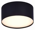 Светильник потолочный Черный LED 1*12W 3000K 1 080Lm Ra>85 120° IP20 D120xH55 185-265V