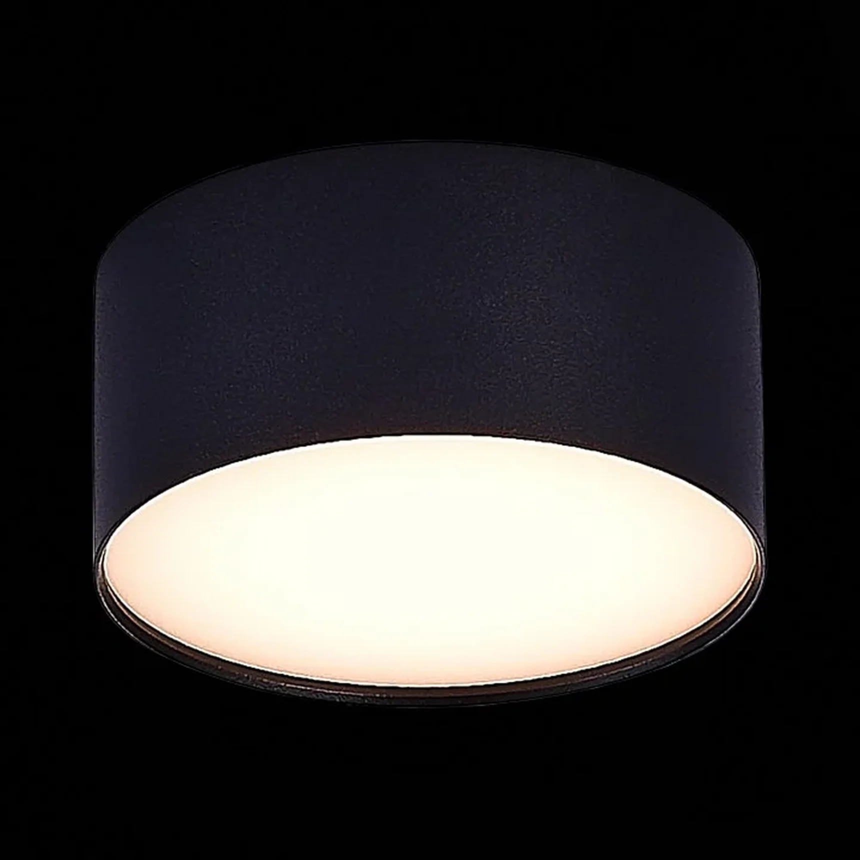 Светильник потолочный Черный LED 1*12W 3000K 1 080Lm Ra>85 120° IP20 D120xH55 185-265V