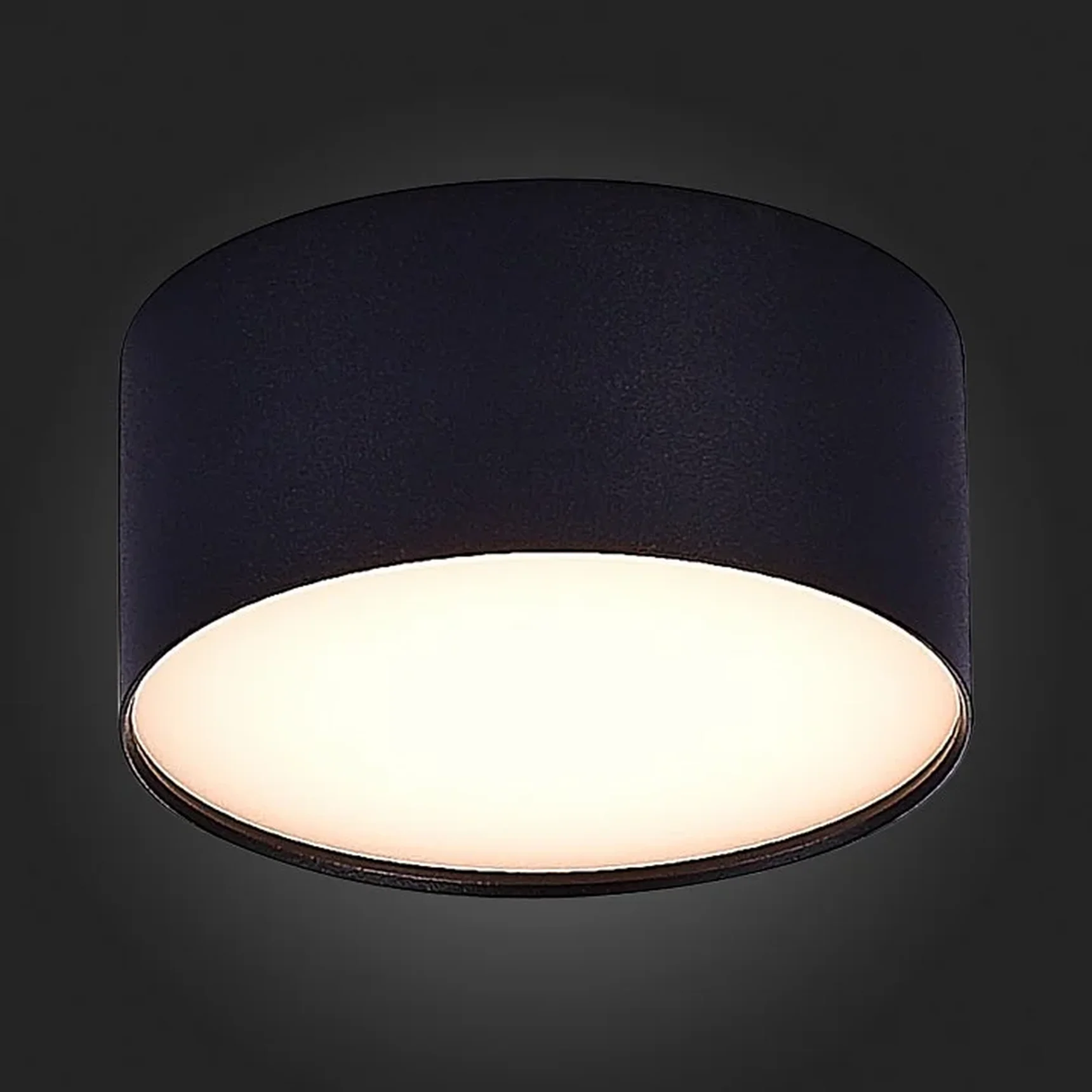 Светильник потолочный Черный LED 1*12W 3000K 1 080Lm Ra>85 120° IP20 D120xH55 185-265V