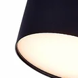 Светильник потолочный Черный LED 1*12W 3000K 1 080Lm Ra>85 120° IP20 D120xH55 185-265V