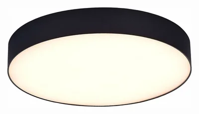 Светильник потолочный Черный LED 1*36W 3000K 3 240Lm Ra>90 120° IP20 D300xH55 220V