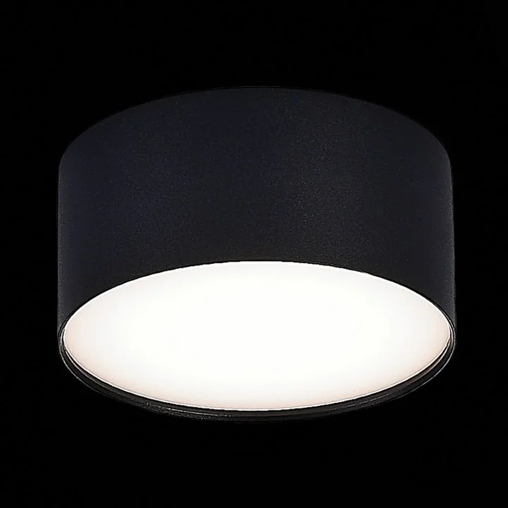 Светильник потолочный Черный LED 1*12W 4000K 1 080Lm Ra>85 120° IP20 D120xH55 185-265V
