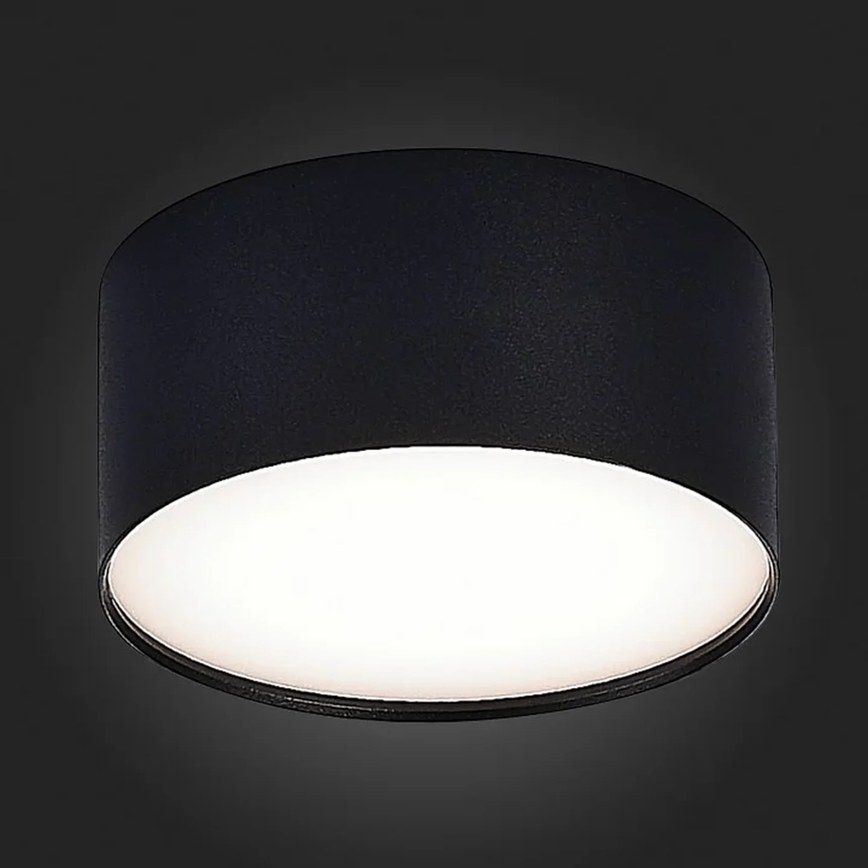 Светильник потолочный Черный LED 1*12W 4000K 1 080Lm Ra>85 120° IP20 D120xH55 185-265V