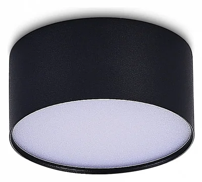 Светильник потолочный Черный LED 1*12W 4000K 1 080Lm Ra>85 120° IP20 D120xH55 185-265V
