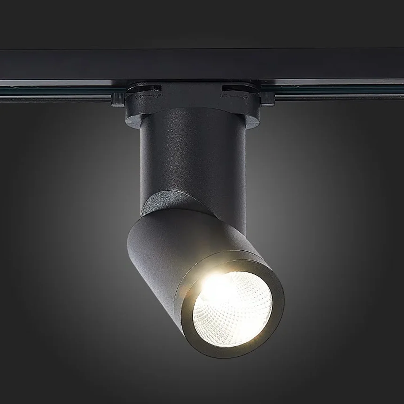 Светильник трековый Черный LED 1*10W 3000K 800Lm Ra>90 38° IP44 D60xH190 165-265V