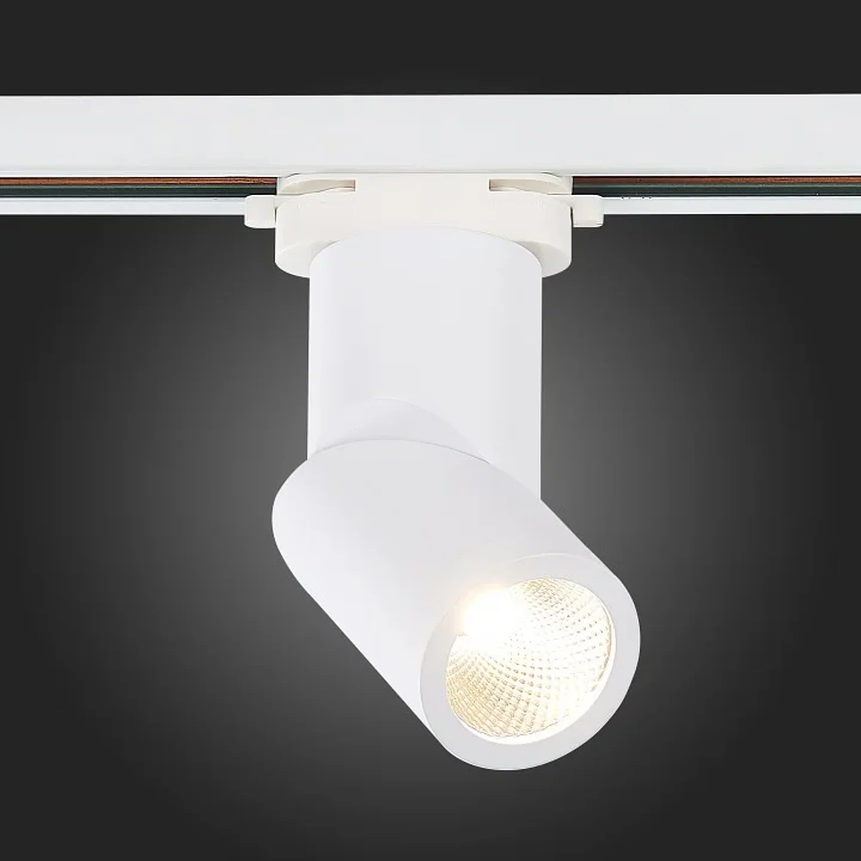 Светильник трековый Белый LED 1*10W 4000K 800Lm Ra>90 38° IP44 D60xH190 165-265V