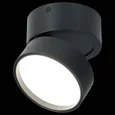 Светильник потолочный поворотный Черный LED 1*14W 4000K 1 100Lm Ra>90 120° IP20 D105xH88 170-240VV