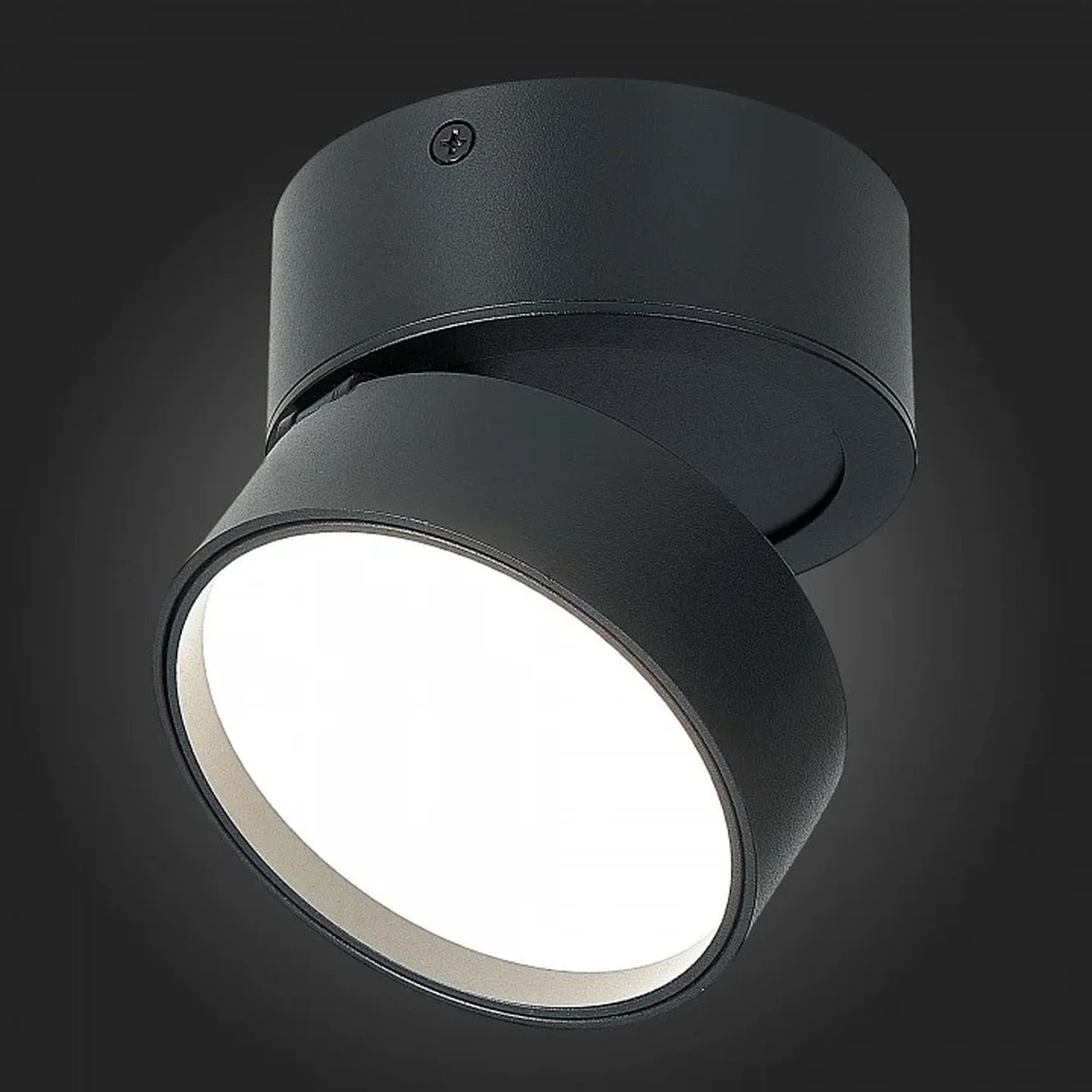 Светильник потолочный поворотный Черный LED 1*14W 4000K 1 100Lm Ra>90 120° IP20 D105xH88 170-240VV