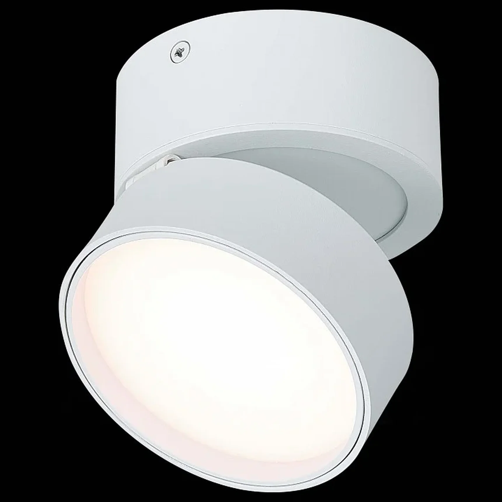 Светильник потолочный поворотный Белый LED 1*14W 3000K 1 100Lm Ra>90 120° IP20 D105xH88 170-240VV