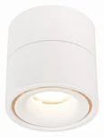 Светильник на штанге ST-Luce ST652 ST652.532.12