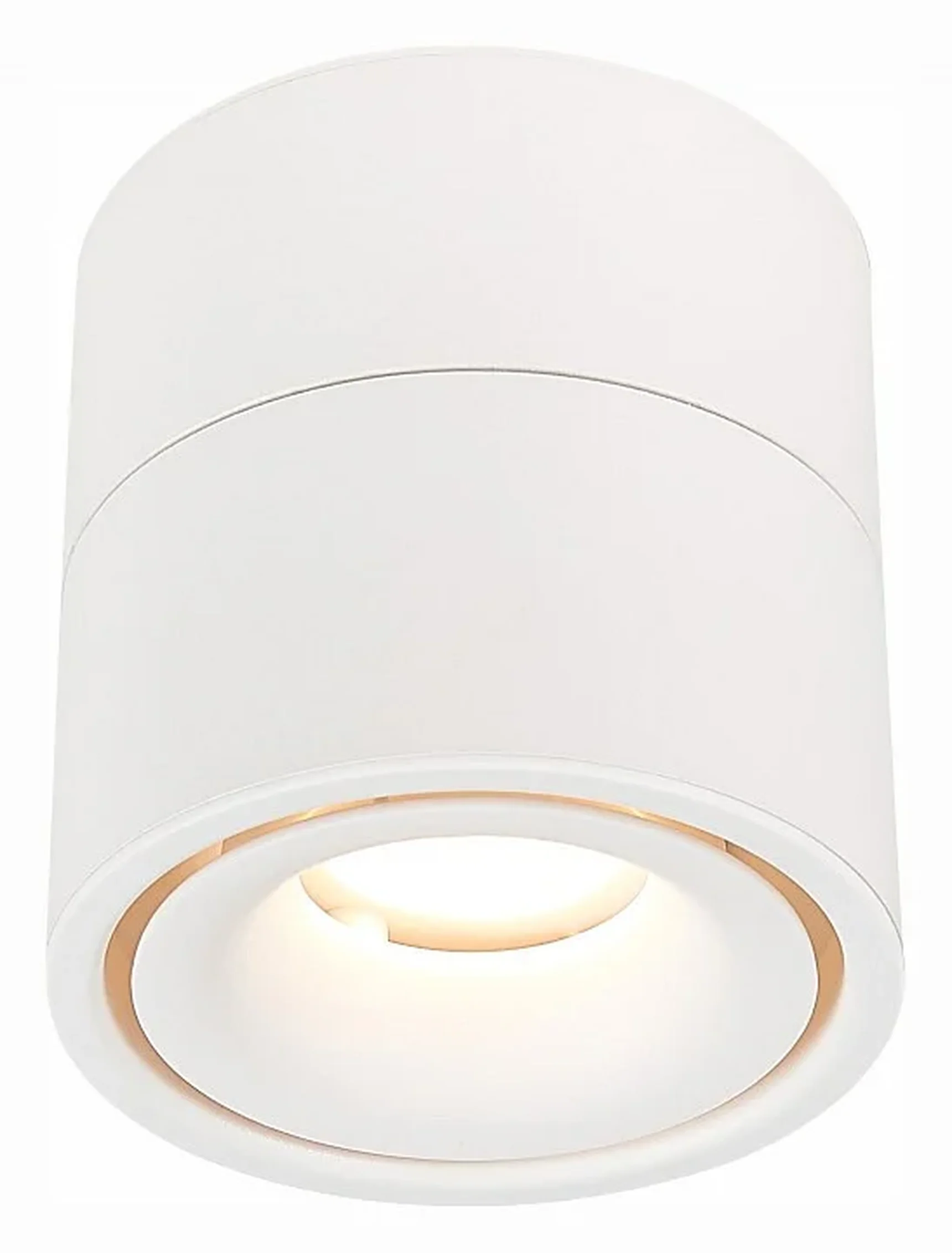 Светильник на штанге ST-Luce ST652 ST652.532.12