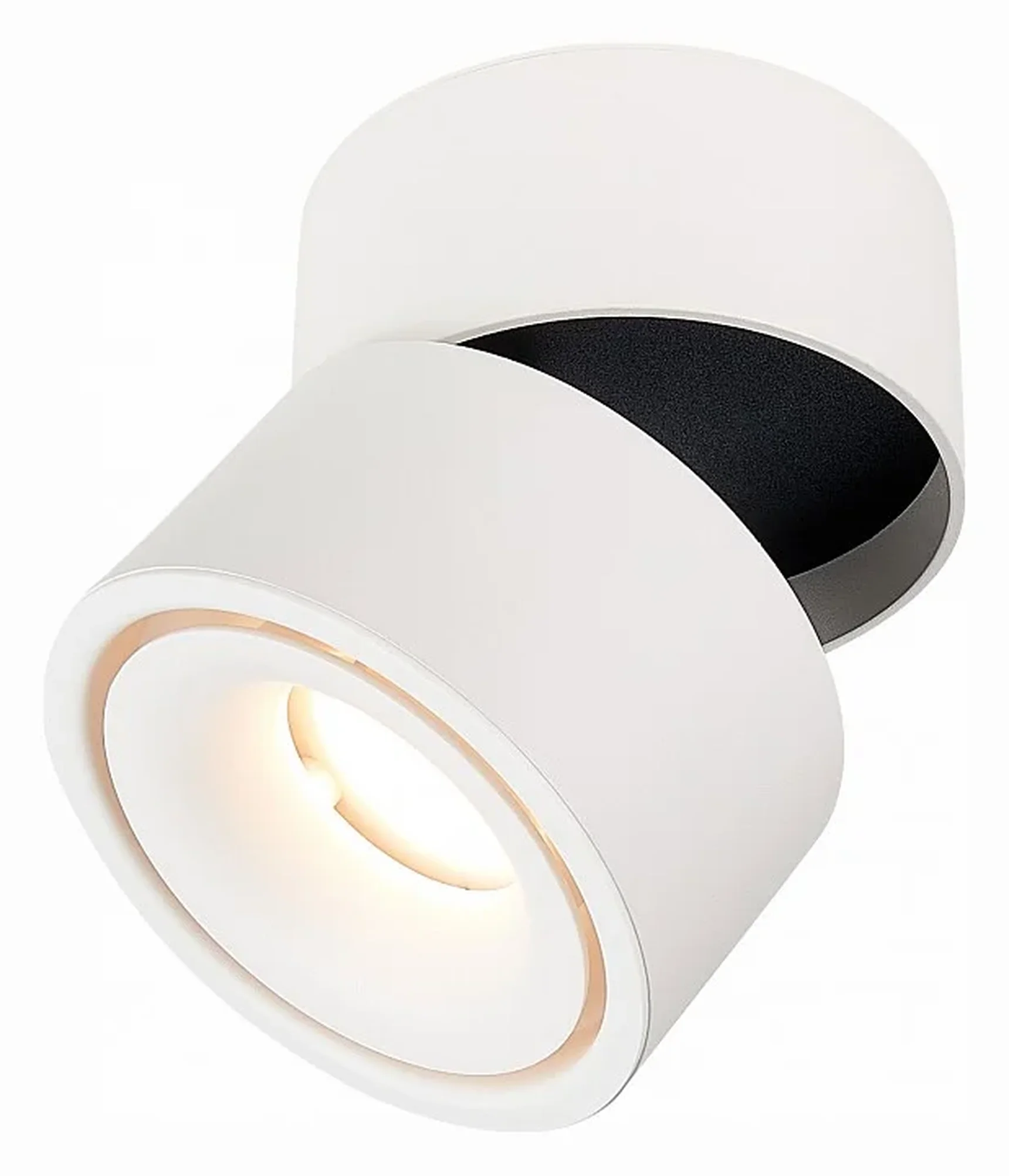 Светильник на штанге ST-Luce ST652 ST652.532.12