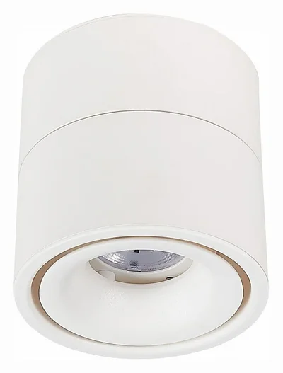 Светильник на штанге ST-Luce ST652 ST652.532.12