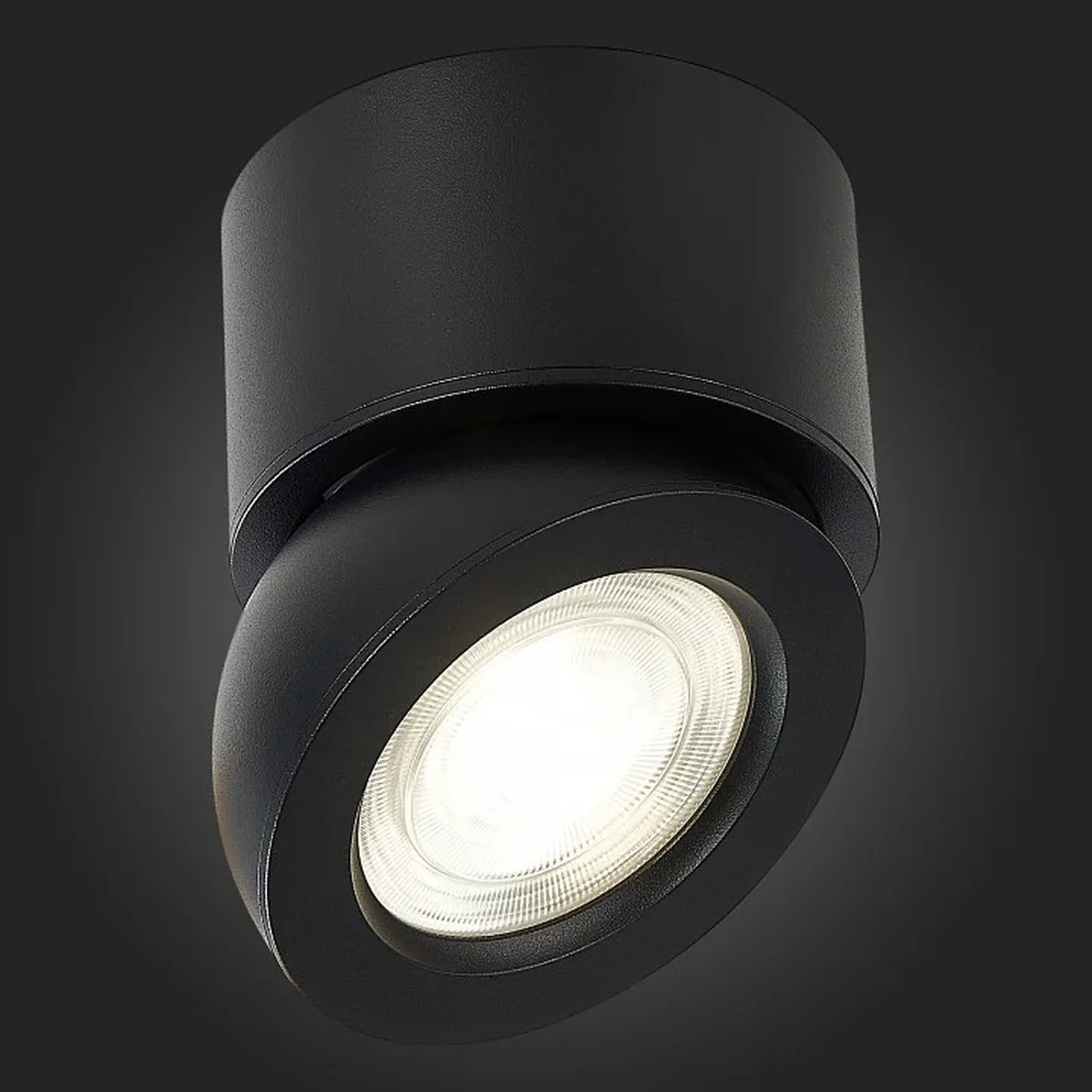 Светильник потолочный Черный LED 1*10W 4000K 850Lm Ra>90 38° IP20 D95xH96 180-240V