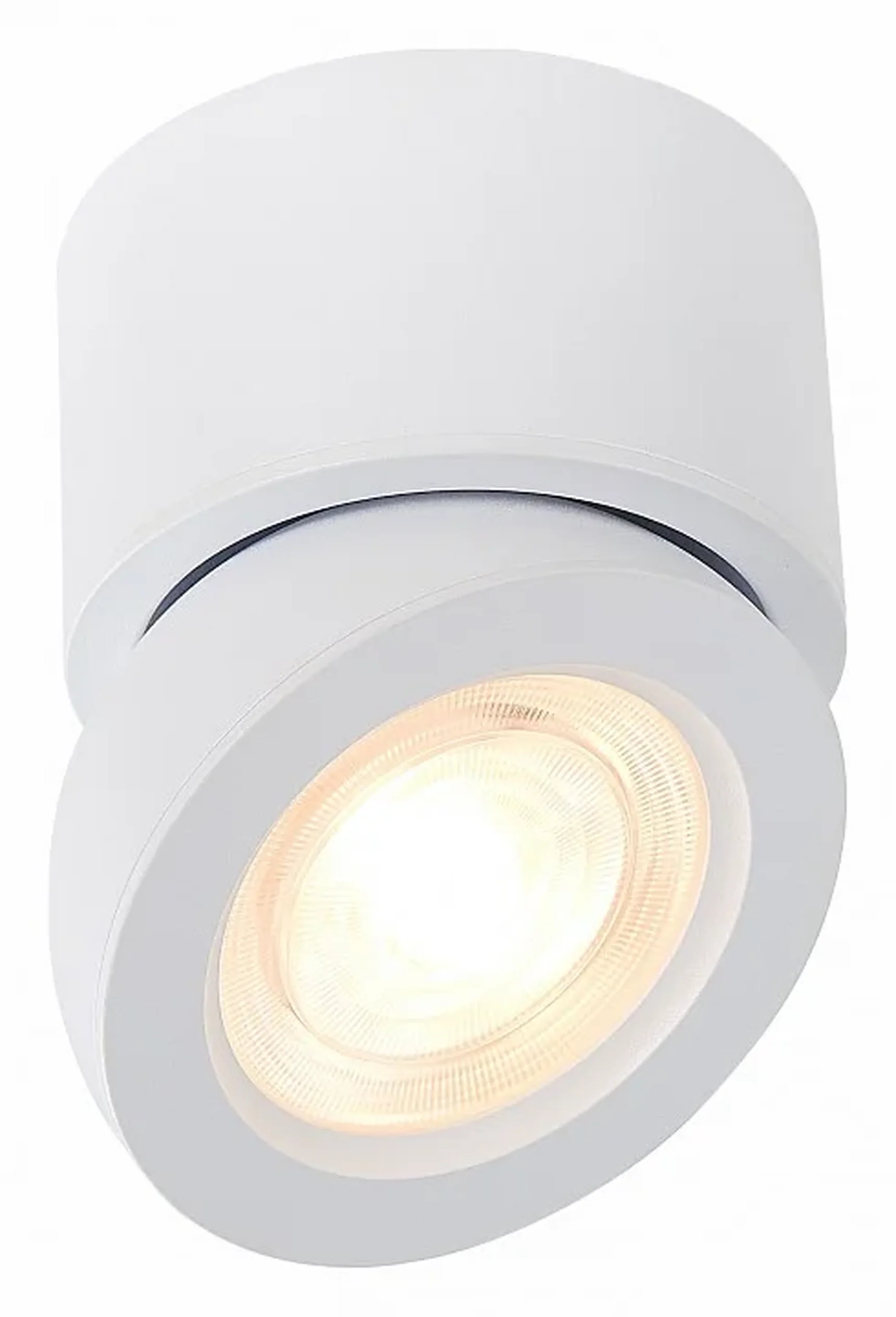 Светильник потолочный Белый LED 1*10W 3000K 850Lm Ra>90 38° IP20 D95xH96 180-240V