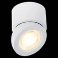 Светильник потолочный Белый LED 1*10W 3000K 850Lm Ra>90 38° IP20 D95xH96 180-240V
