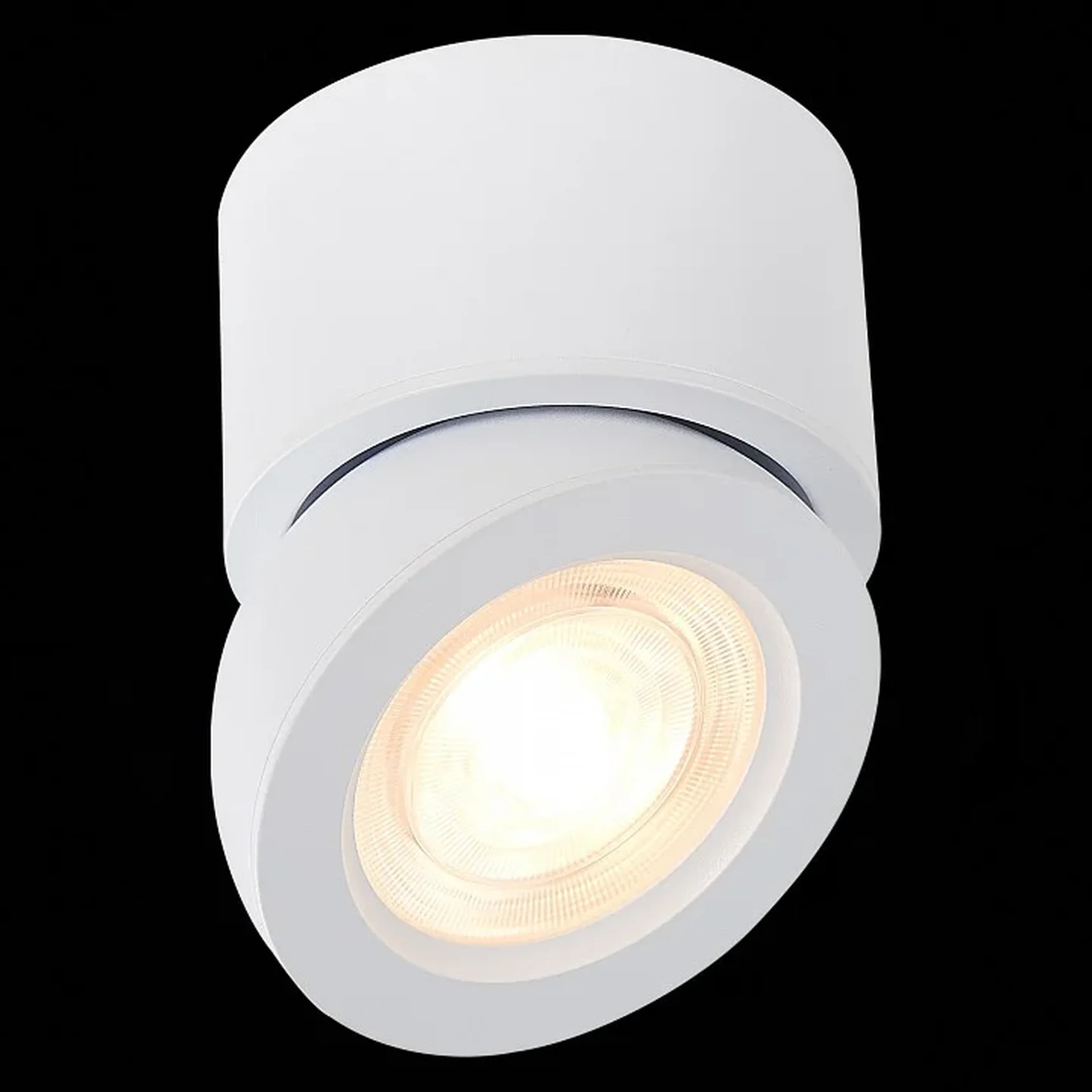 Светильник потолочный Белый LED 1*10W 3000K 850Lm Ra>90 38° IP20 D95xH96 180-240V