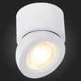 Светильник потолочный Белый LED 1*10W 3000K 850Lm Ra>90 38° IP20 D95xH96 180-240V