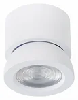 Светильник потолочный Белый LED 1*10W 3000K 850Lm Ra>90 38° IP20 D95xH96 180-240V