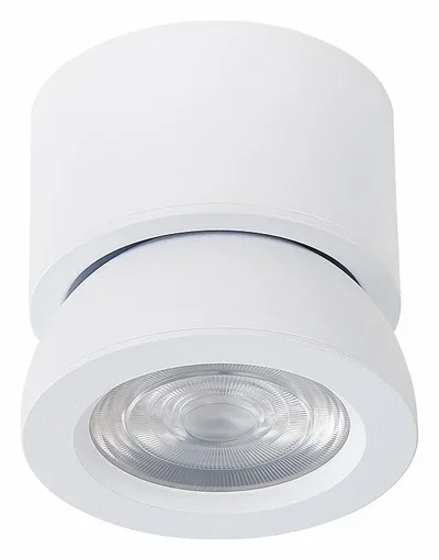 Светильник потолочный Белый LED 1*10W 3000K 850Lm Ra>90 38° IP20 D95xH96 180-240V