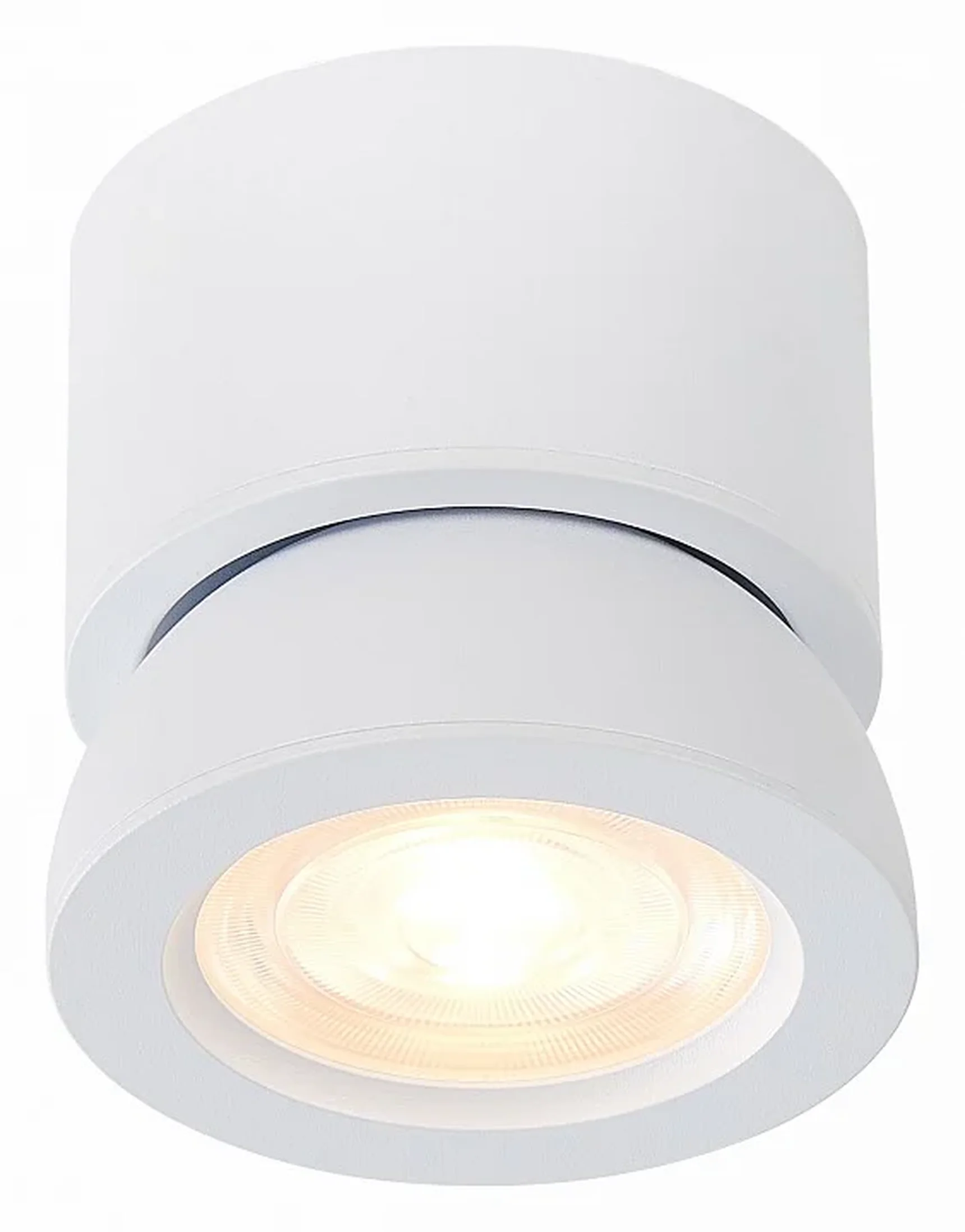 Светильник потолочный Белый LED 1*10W 4000K 850Lm Ra>90 38° IP20 D95xH96 180-240V