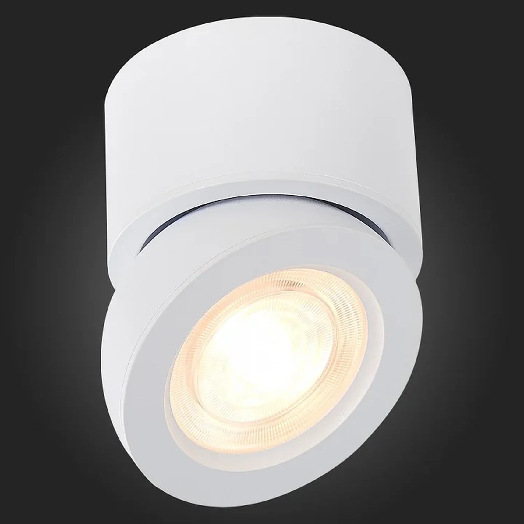 Светильник потолочный Белый LED 1*10W 4000K 850Lm Ra>90 38° IP20 D95xH96 180-240V