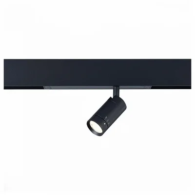 Светильник на штанге ST-Luce SKYLINE 220 ST658.446.10H