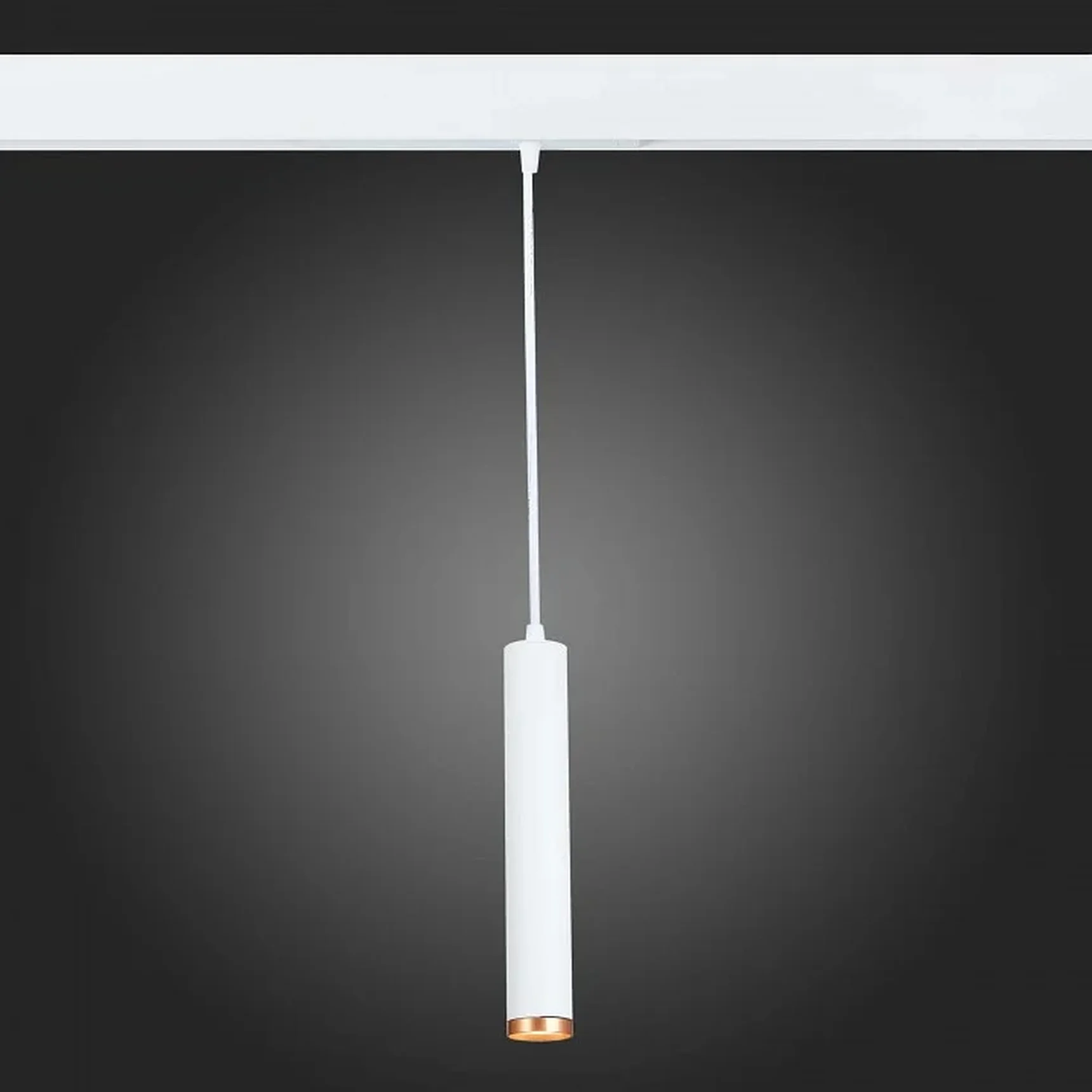 Подвесной светильник ST-Luce Skyline 220 ST659.593.10