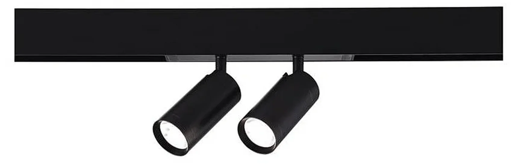 Светильник трековый SMART Черный LED 2*10W 2700K-6000K 1 440Lm Ra90 36° IP20 D50xH41 220V SKYLINE 220