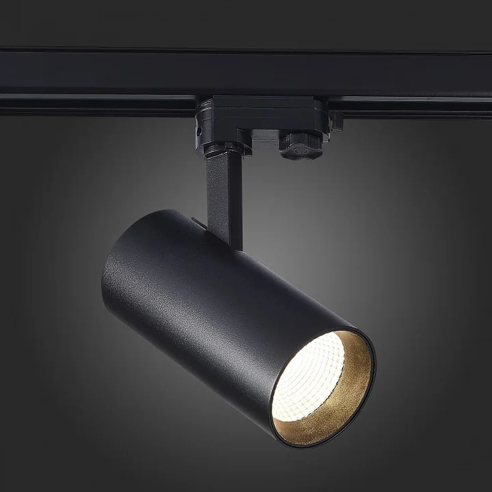 Светильник трековый Черный LED 1*30W 3000K 2 400Lm Ra>90 38° IP20 L170xW80xH245 165-265V