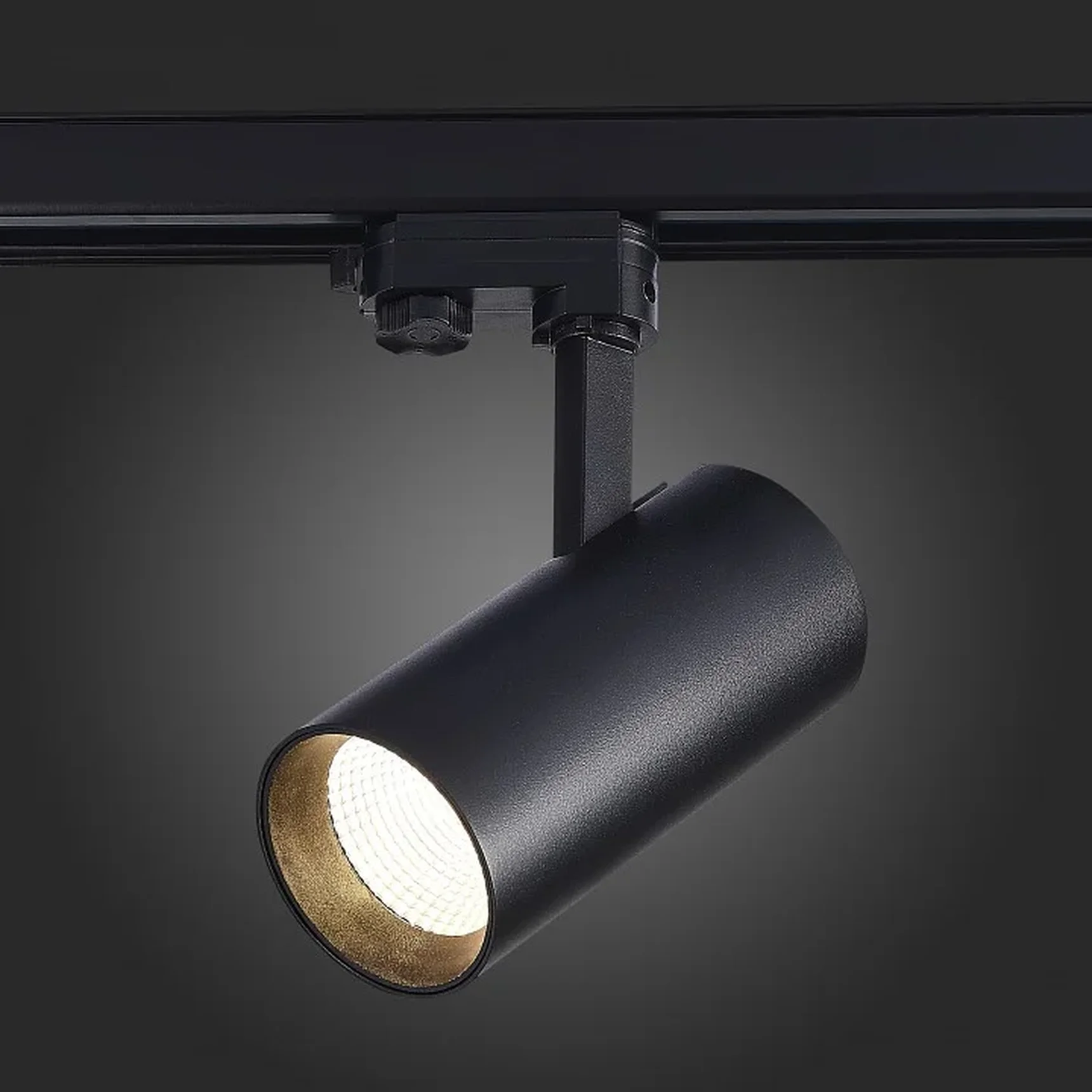 Светильник трековый Черный LED 1*30W 4000K 2 400Lm Ra>90 38° IP20 L170xW80xH245 165-265V