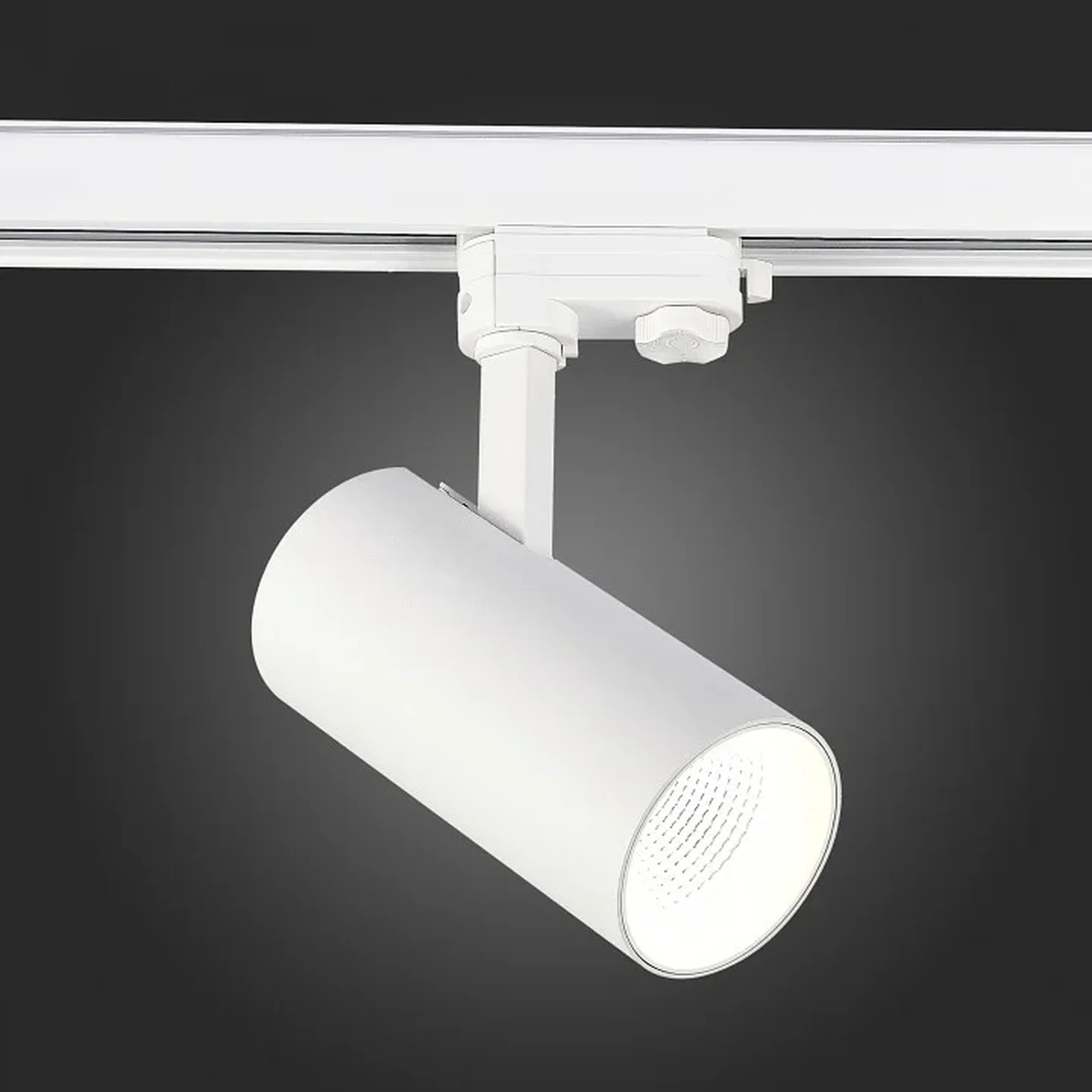 Светильник трековый Белый LED 1*30W 4000K 2 400Lm Ra>90 38° IP20 L170xW80xH245 165-265V