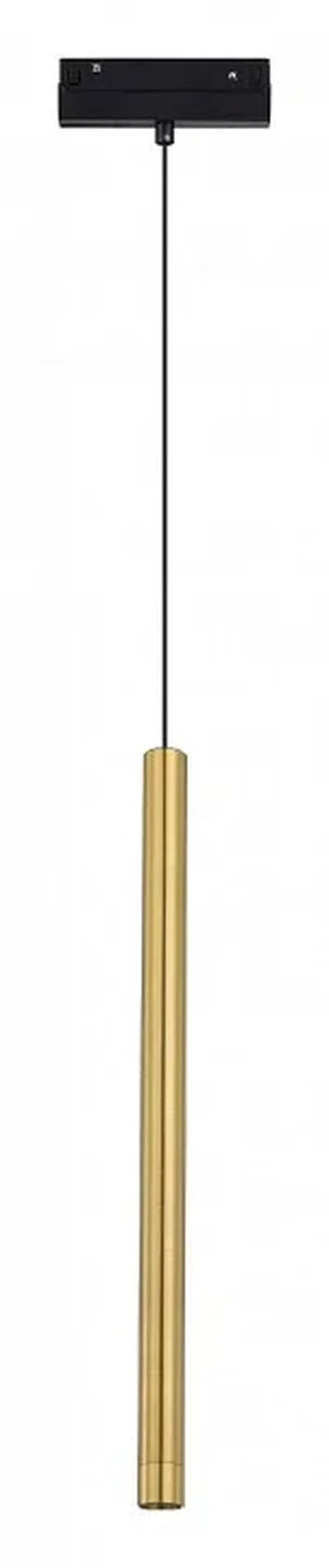 Магнитный трековый светильник Золотистый LED 1*7W 3000K 450Lm Ra90 36° IP20 D32xH307 48V