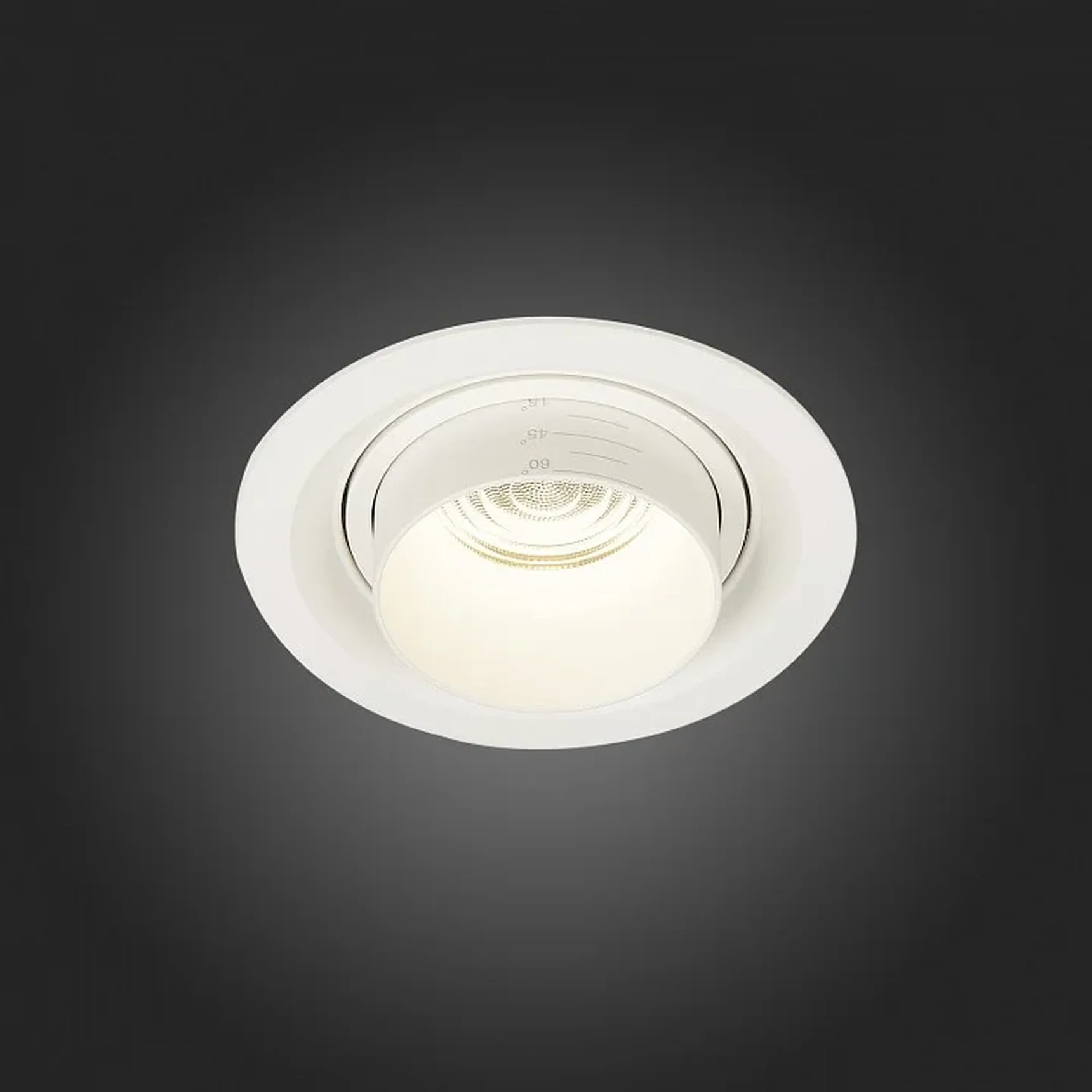 Встраиваемый светильник ST-Luce Zoom ST701.548.12