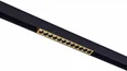 Магнитный трековый светильник Золотистый LED 1*12W 4000K 550Lm Ra>90 36° IP20 L220xW22xH44 48V