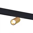 Магнитный трековый светильник Золотистый LED 1*12W 4000K 700Lm Ra>90 IP20 D50xH173 48V
