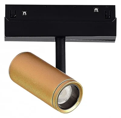 Магнитный трековый светильник Золотистый LED 1*8W 3000K 550Lm Ra>90 36° IP20 D42xH135 48V