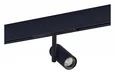Магнитный трековый светильник Черный LED 1*8W 3000K 500Lm Ra>90 36° IP20 D42xH135 48V
