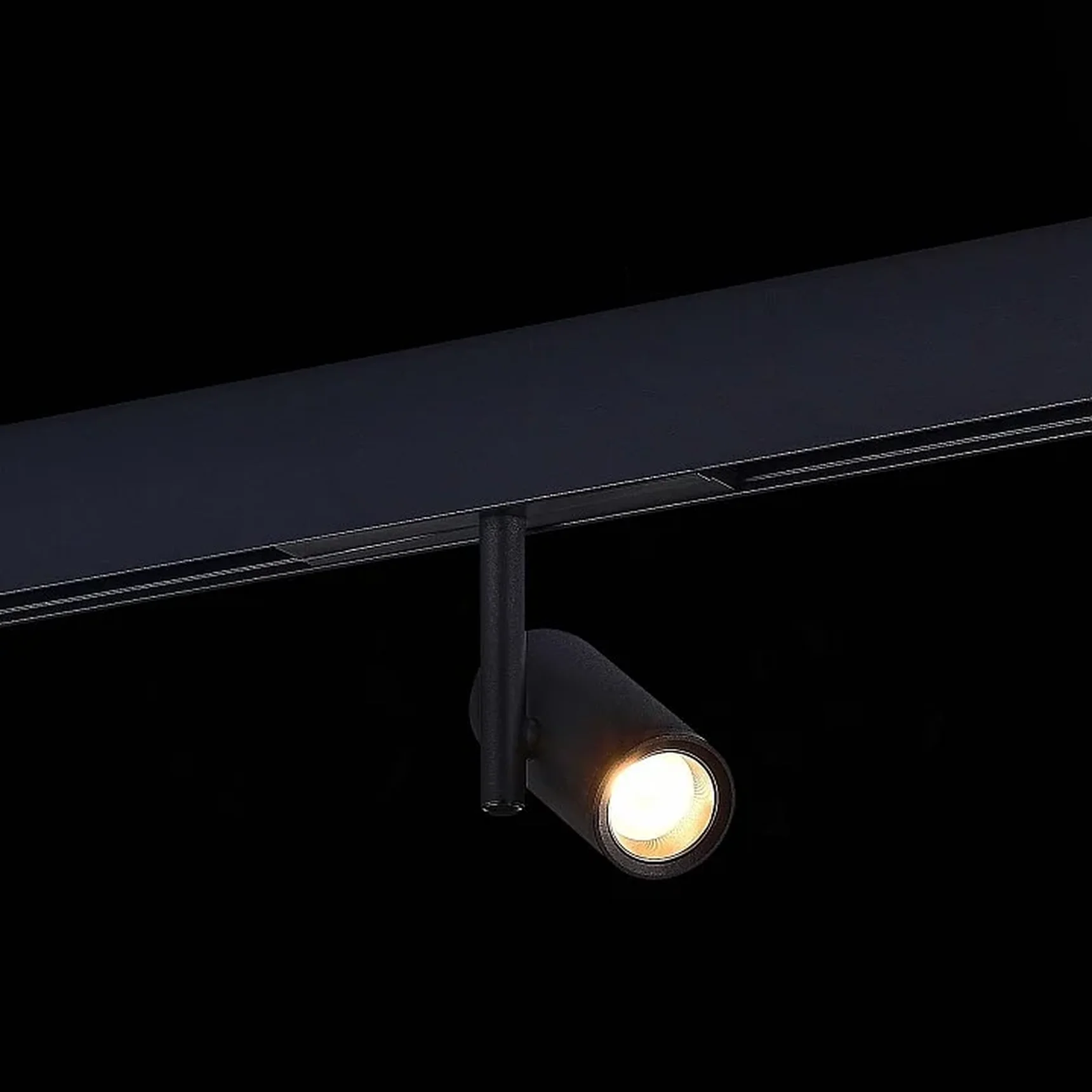 Магнитный трековый светильник Черный LED 1*8W 4000K 600Lm Ra>90 36° IP20 D42xH135 48V
