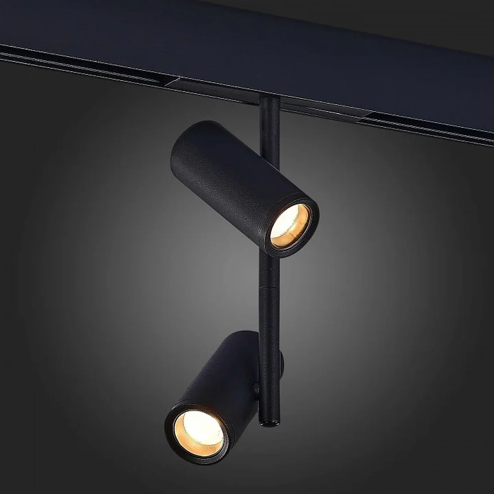 Магнитный трековый светильник Черный LED 1*16W 4000K 1 200Lm Ra>90 36° IP20 D45xH240 48V