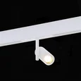 Магнитный трековый светильник Белый LED 1*8W 3000K 550Lm Ra>90 36° IP20 D42xH135 48V