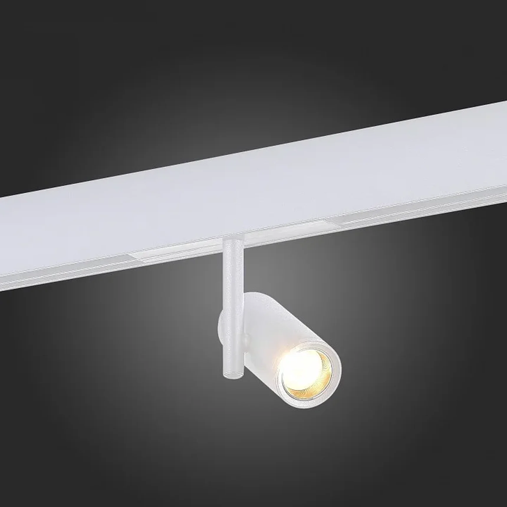 Магнитный трековый светильник Белый LED 1*8W 3000K 550Lm Ra>90 36° IP20 D42xH135 48V