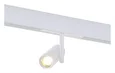 Магнитный трековый светильник Белый LED 1*8W 3000K 550Lm Ra>90 36° IP20 D42xH135 48V