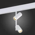 Магнитный трековый светильник Белый LED 1*16W 3000K 1 100Lm Ra>90 36° IP20 D45xH240 48V