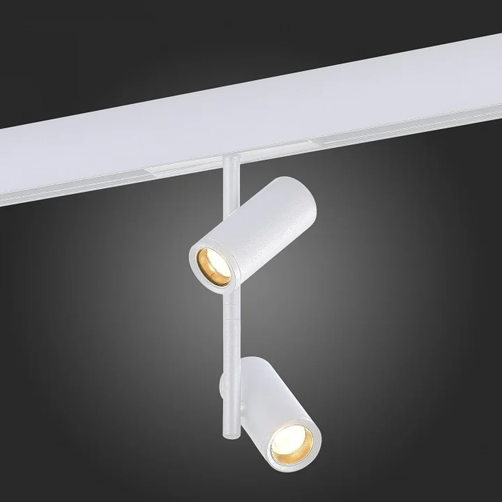 Магнитный трековый светильник Белый LED 1*16W 3000K 1 100Lm Ra>90 36° IP20 D45xH240 48V
