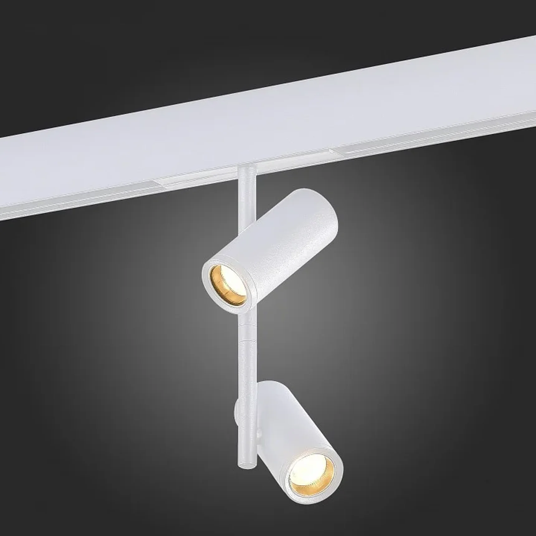 Магнитный трековый светильник Белый LED 1*16W 4000K 1 200Lm Ra>90 36° IP20 D45xH240 48V